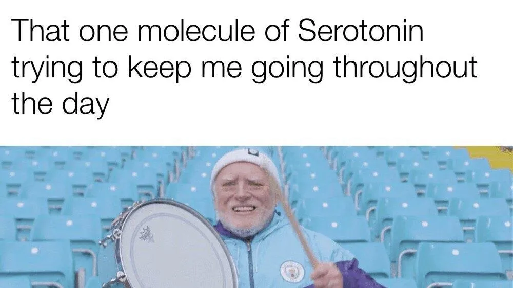 A meme about anxiety.